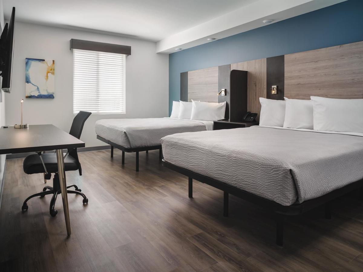 Stayapt Suites San Antonio-Randolph Live Oak Екстер'єр фото